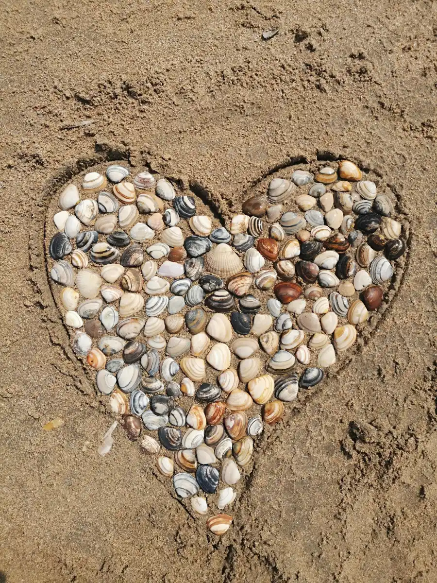 A heart shape made of various small seashells in the sand on a beach.