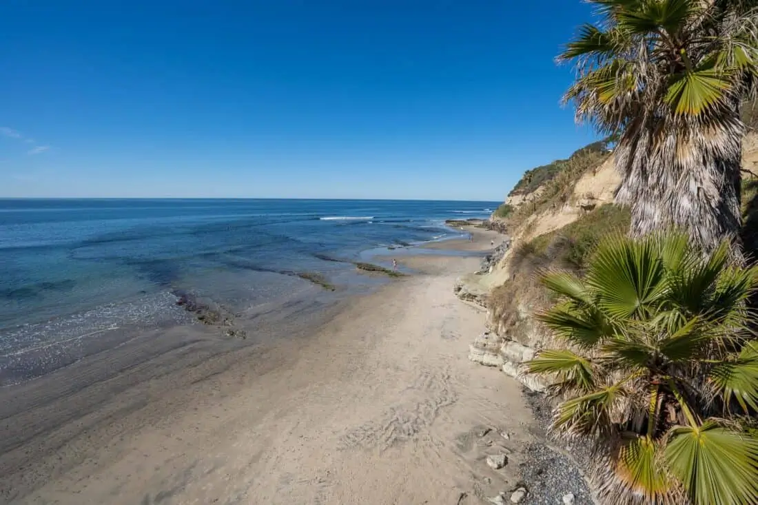 Scenic Encinitas beach with palm trees and ocean views.
